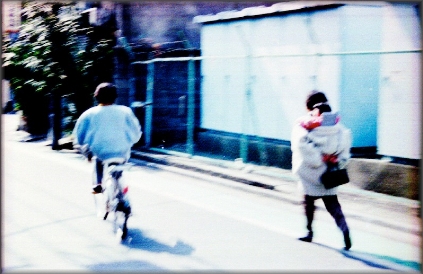 nihon1of1